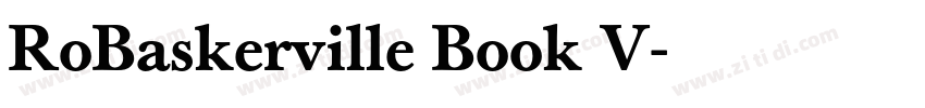 RoBaskerville Book V字体转换